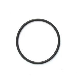 BS229 Viton75 rubber seal (FKM)